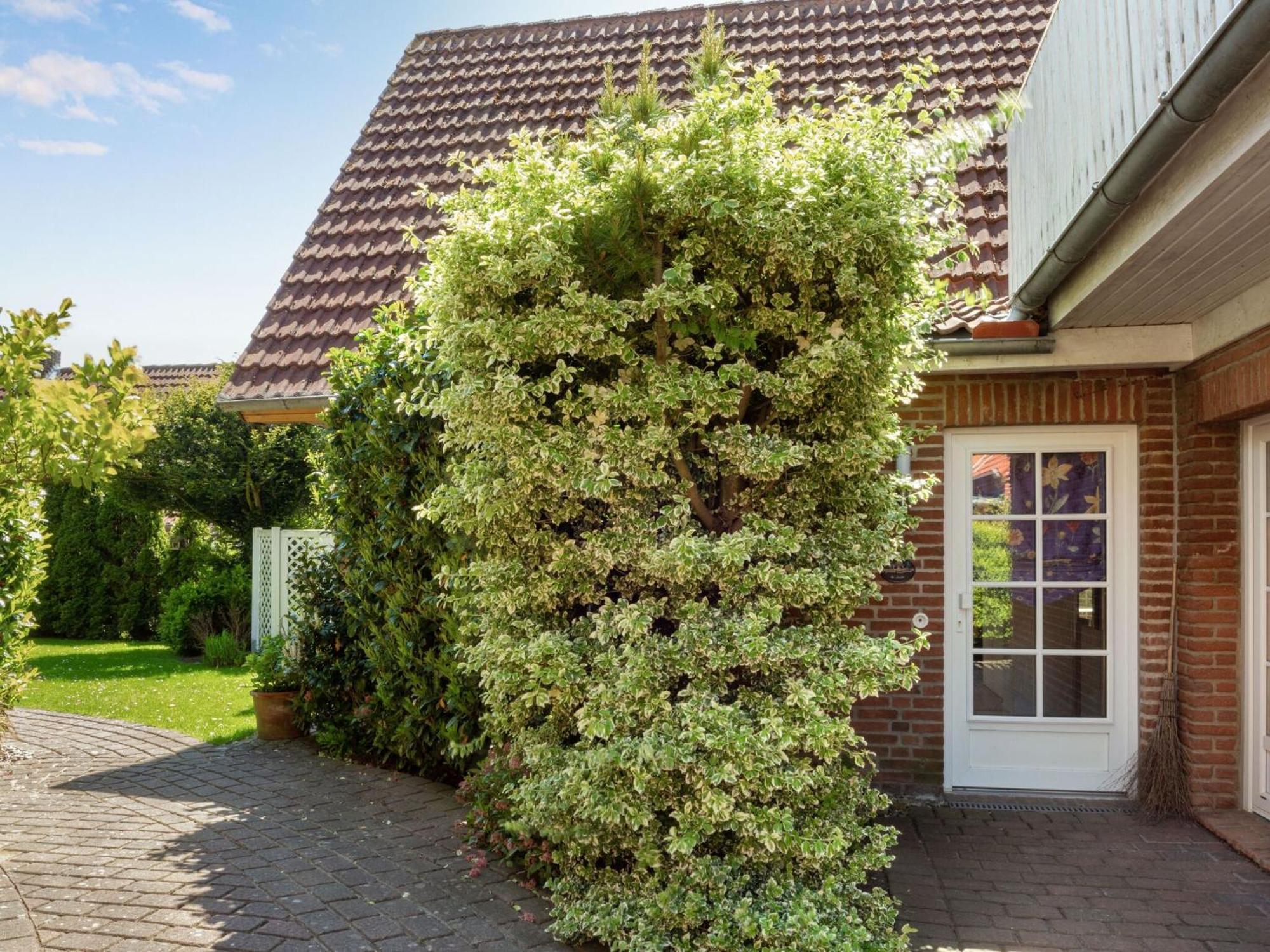 Ferienhaus Gisela In Holzstein An Der Ostsee Oldenburg in Holstein Exterior photo